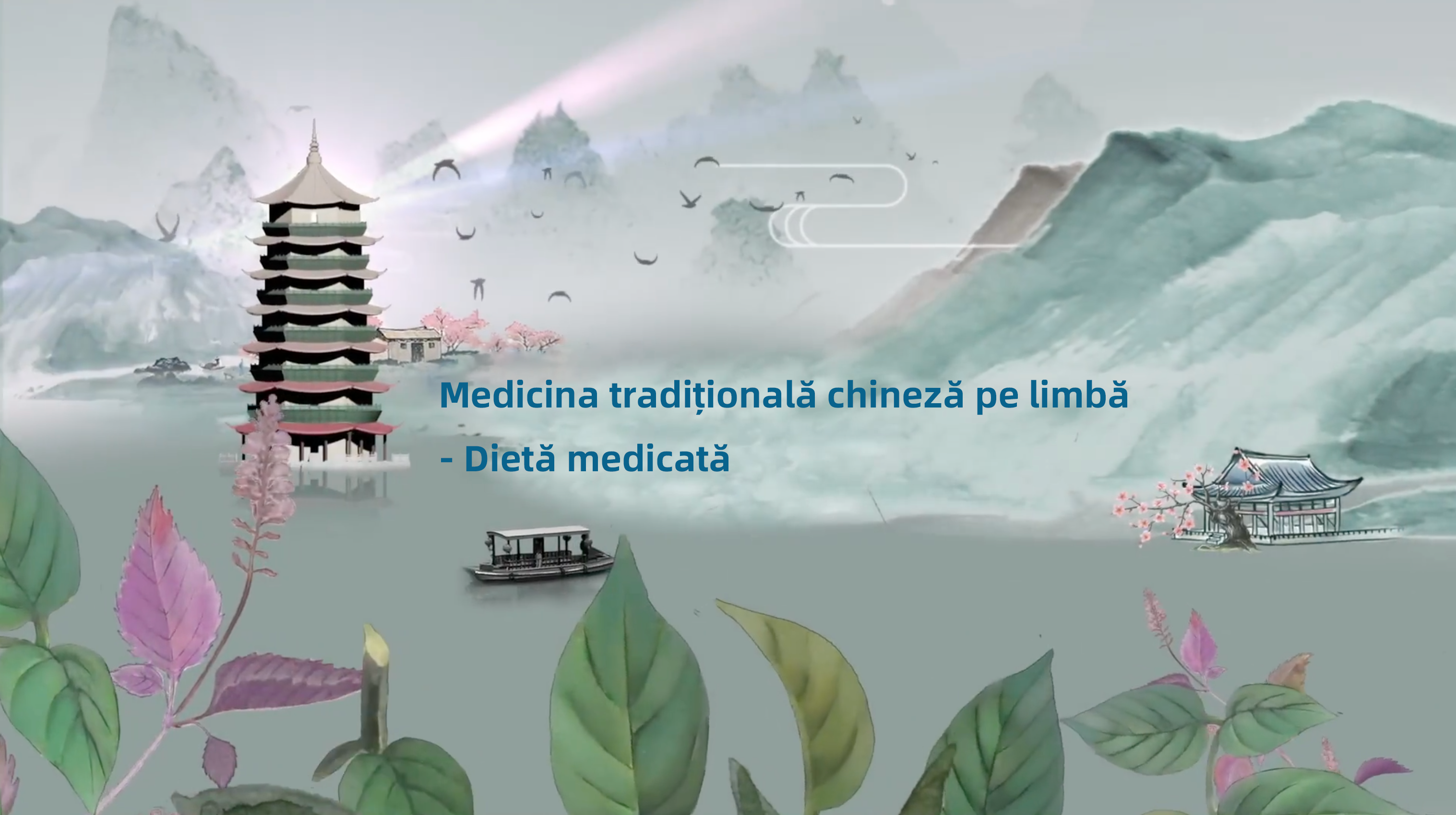 Medicina tradițională chineză pe limbă - Dietă medicată